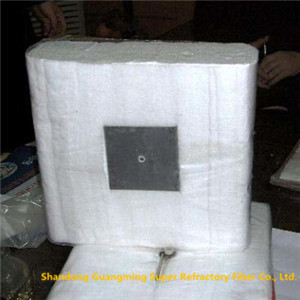 Refractory Bio-Soluble Fiber Module